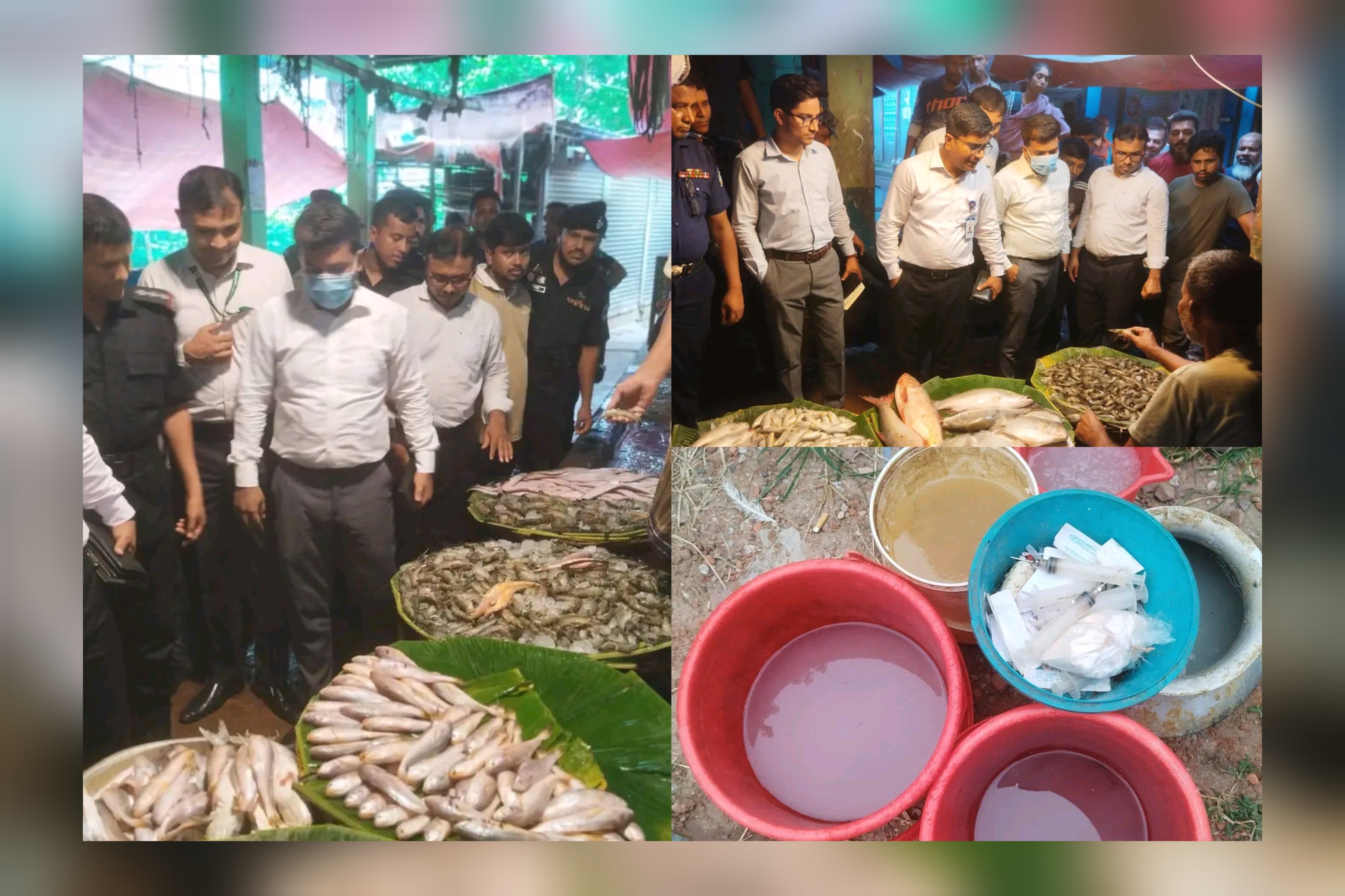 সাতক্ষীরায় চিংড়িতে জেলি পুশের অভিযোগে অভিযান একজনের কারাদণ্ড